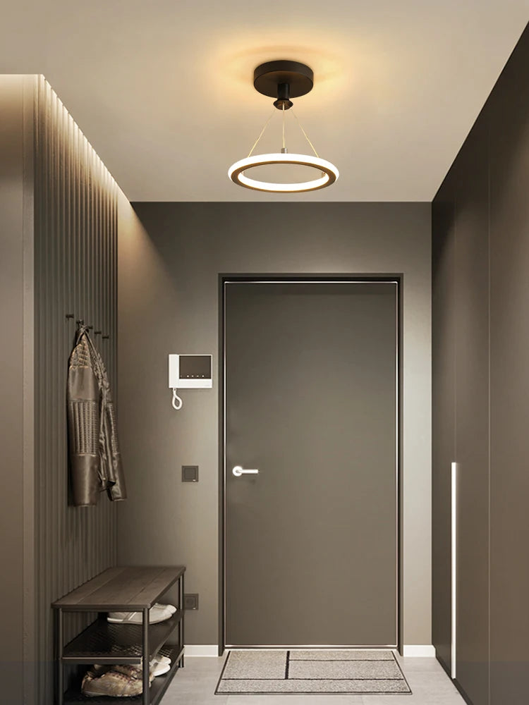 Modern LED Chandeliers